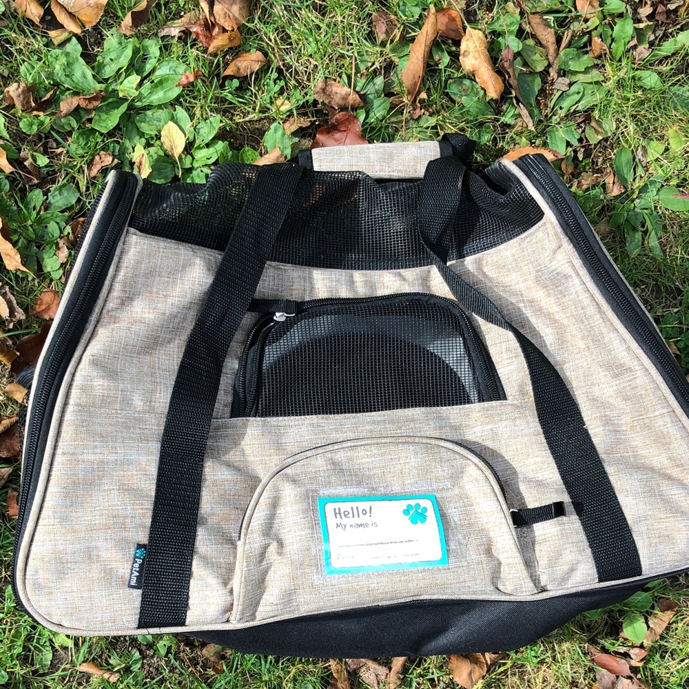 Pet Carrier with Mesh Panels